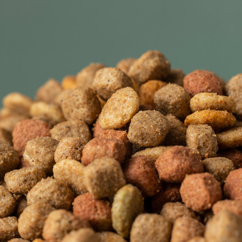 Fusce egestas odio - Imagen 2